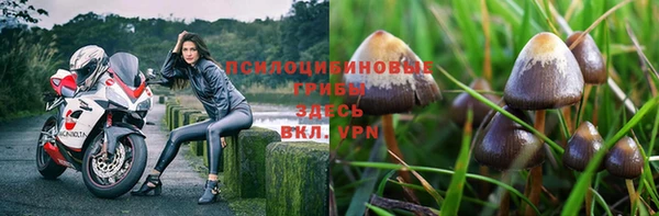 гидропоника Снежногорск