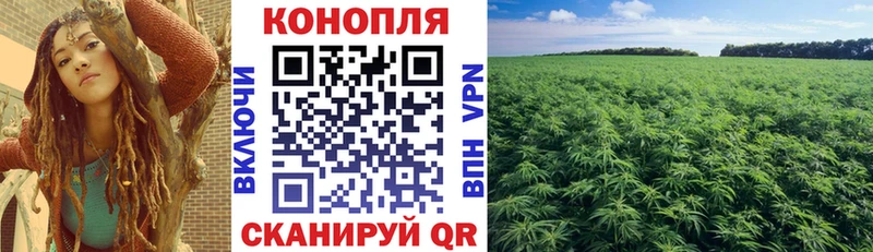blacksprut маркетплейс Бологое Каннабис план