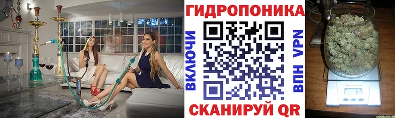 Каннабис тримм Бологое